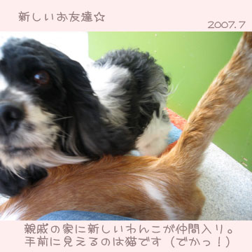 動き回るからむずかしいのね...