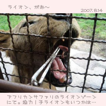 サファリパーク2