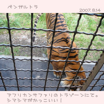 サファリパーク3