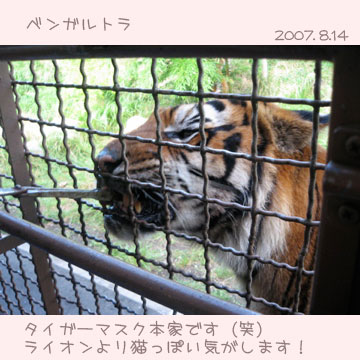 サファリパーク4