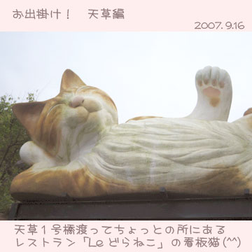 le　どらねこ1
