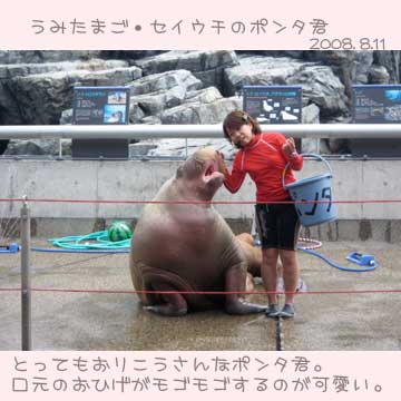 大分うみたまご