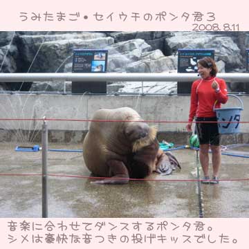 大分うみたまご