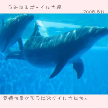 大分うみたまご