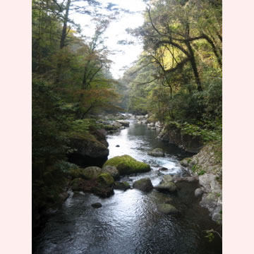 菊池渓谷