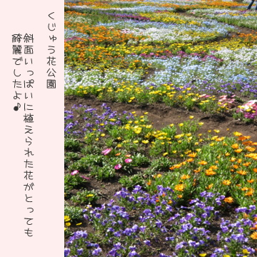 くじゅう花公園2