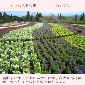 くじゅう花公園1